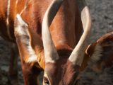 20120808 IMG 4992