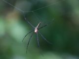 20120808 IMG 4995