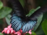 20120808 IMG 4999