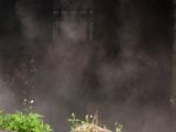 20120808 IMG 5004