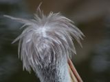 20120808 IMG 5011