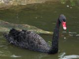20120808 IMG 5013