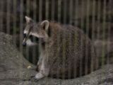 20120808 IMG 5016