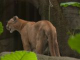 20120808 IMG 5042