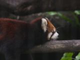 20120808 IMG 5061