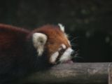 20120808 IMG 5066
