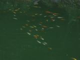 20120808 IMG 5073