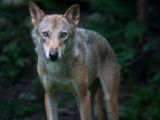 20120808 IMG 5076