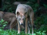 20120808 IMG 5077