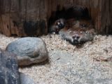 20120808 IMG 5086