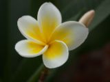 20120808 IMG 5090