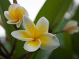 20120808 IMG 5091