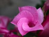20120808 IMG 5092