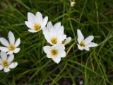 20120808 IMG 5093