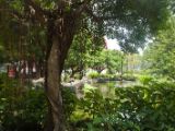 20120809 IMG 5188