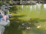 20120809 IMG 5206