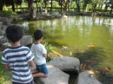 20120809 IMG 5210