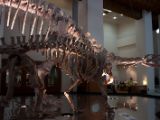 20120809 IMG 5237