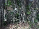 20120809 IMG 5357