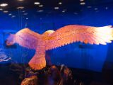 20120809 IMG 5527