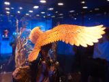20120809 IMG 5529
