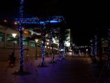 20120809 IMG 5569