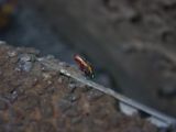 20120810 IMG 5667