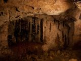 20120810 IMG 5681