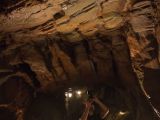 20120810 IMG 5687