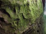 20120810 IMG 5694