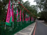 20120810 IMG 5774