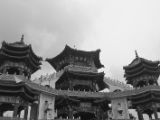 20120810 IMG 5782