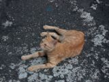 20120810 IMG 5792
