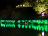 20120811 IMG 5955