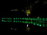 20120811 IMG 5956