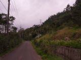 20120812 IMG 5972