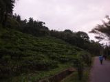 20120812 IMG 5973
