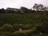 20120812 IMG 5975