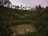 20120812 IMG 5976
