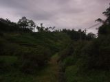 20120812 IMG 5977