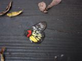 20120812 IMG 6042