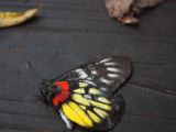 20120812 IMG 6047