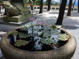 20120812 IMG 6077