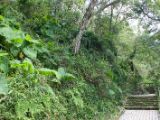 20120812 IMG 6083
