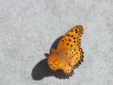 20120812 IMG 6095