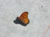 20120812 IMG 6097