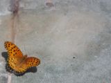 20120812 IMG 6098