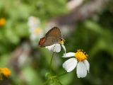 20120812 IMG 6143