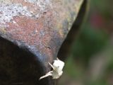 20120812 IMG 6149