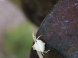 20120812 IMG 6152
